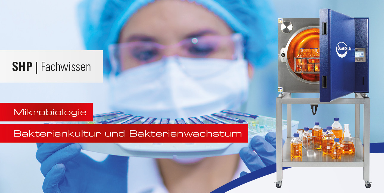 Bakterienkultur und Bakterienwachstum