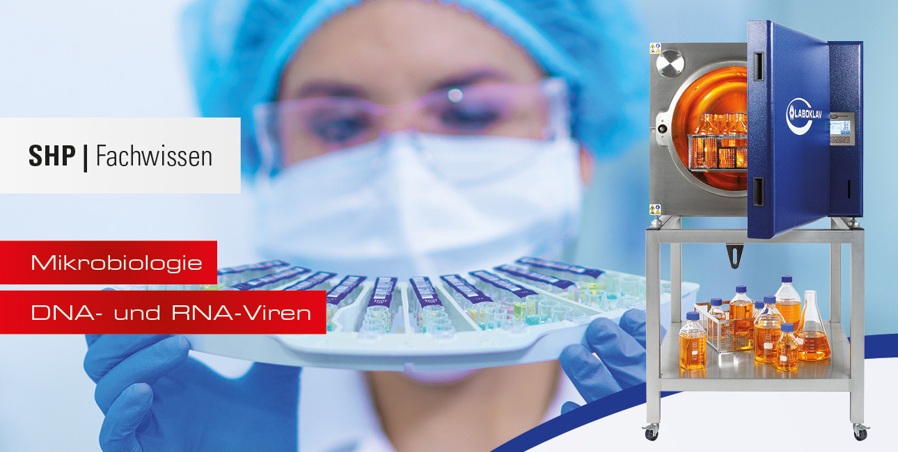 DNA- und RNA-Viren