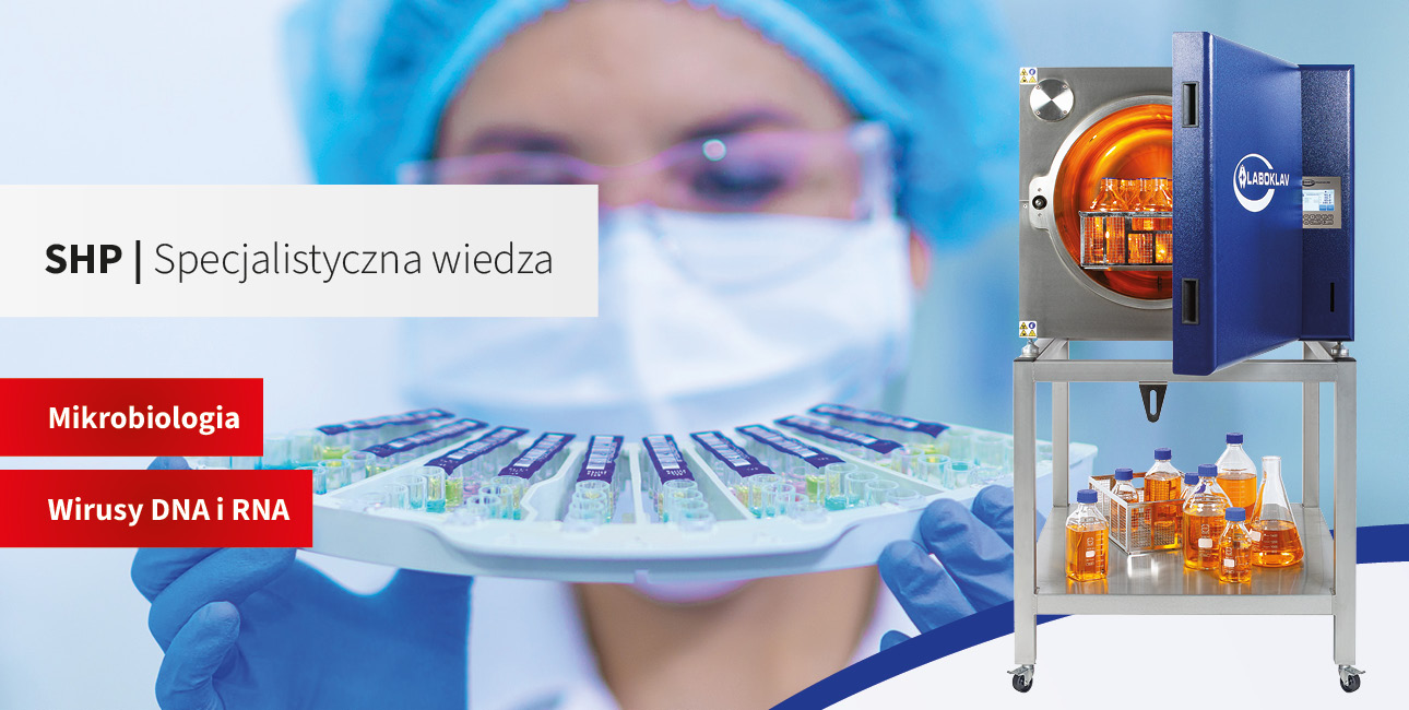 Wirusy DNA i RNA