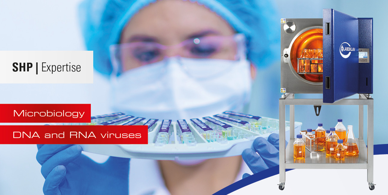 فيروسات الحمض النووي (DNA) والحمض النووي الريبوزي (RNA)