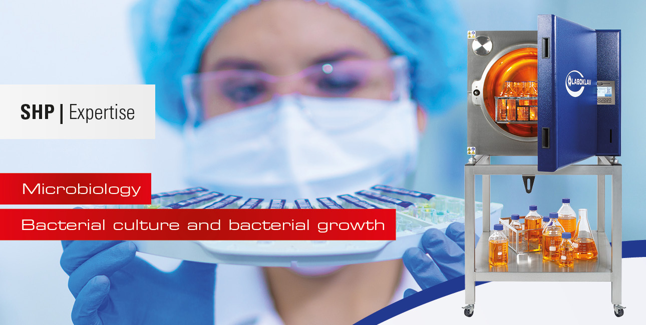 ثقافة البكتيريا ونمو البكتيريا