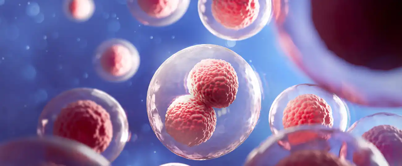 Photo: Adobe Stock // Anusorn Microorganisms